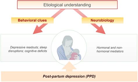 dépression post-partum tardive|postpartum depressive disorders.